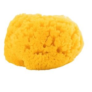 Eponge naturelle 