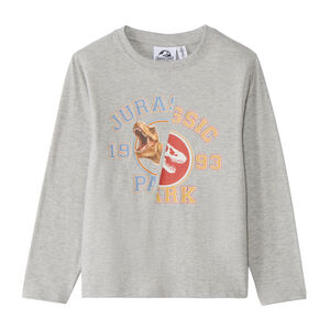 T-shirt manches longues Print dinosaure garçon 