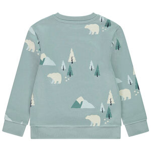 Sweat molleton imprimé fantaisie garçon 