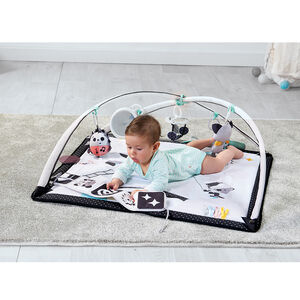 Tapis d'éveil Gymini Black&White 