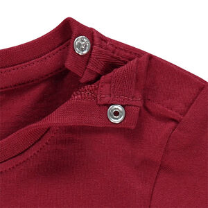 Lot de 3 tee-shirts manches courtes  