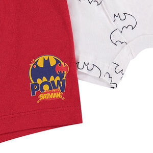 Lot de 2 boxers Batman Warner garçon 