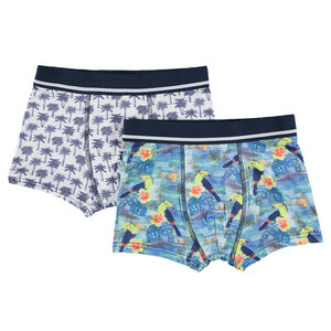 Junior - Lot de 2 boxers assortis motif palmiers et toucans 