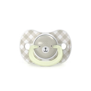 Lot de 2 sucettes silicone SX Pro 6-18M Wild&Free jour/nuit gris 