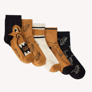 Lot de 5 chaussettes garçon motifs dinosaures et rayures 