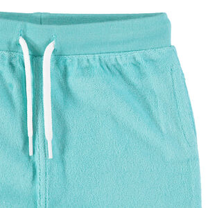 Bermuda uni en éponge 