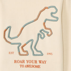 T-shirt manches longues broderie dinosaure garçon 