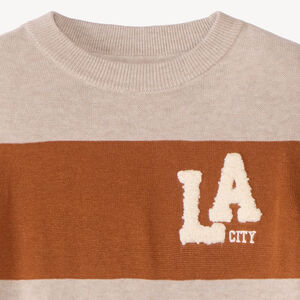 Pull garçon en tricot avec broderie bouclette 