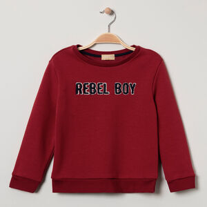 Sweat en molleton contrecollé sherpa à inscription brodée 