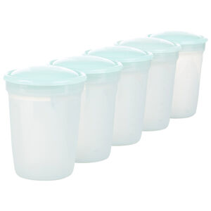 Lot de 5 pots de conservation de 200ml 