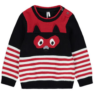 Pull en tricot à rayures motif raton laveur  