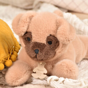 Peluche lestée Les P’tits Relax 22CM Chien Beige 