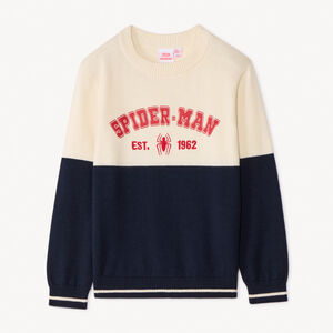 Pull bicolore Spider-Man Marvel garçon 