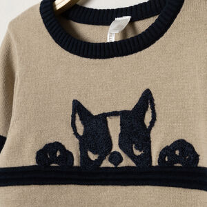 Pull en tricot à rayures et bouledogue 