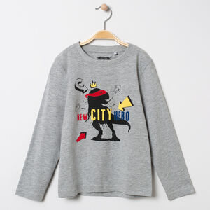 T-shirt manches longues chiné print Dinosaure 