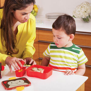 Kit Lunch Box Collection Zoo – Singe 