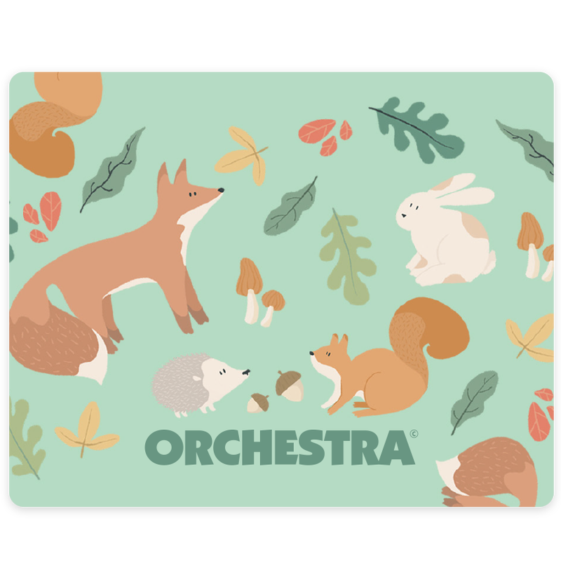 Offrez la carte cadeau Orchestra et faites plaisir &agrave; coup s&ucirc;r bebeFille