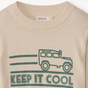 Pull en tricot printé garçon 