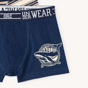 Lot de 5 boxers fantaisies garçon 