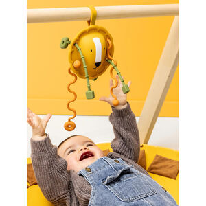Jouet sensoriel à tirer en silicone Mr. Lion 