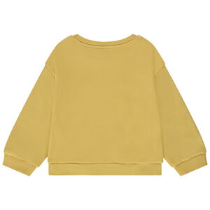 Sweat oversize molletonné print fantaisie pour bébé garçon 