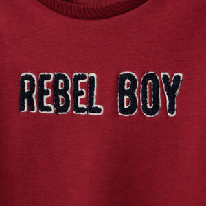 Sweat en molleton contrecollé sherpa à inscription brodée 