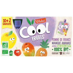 Cool Fruits Pomme Mangue Ananas 12 x 90 gr 
