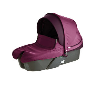 Nacelle Xplory - Prune 