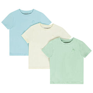 Lot de 3 t-shirts manches courtes unis avec print garçon 
