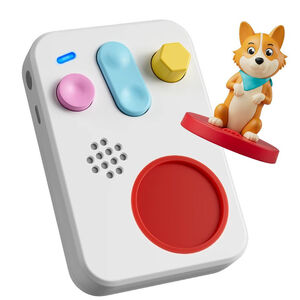 Faba+ Starter Set Histoire audio Zing met Zoey Version Néerlandais 