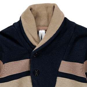 Pull en tricot à rayures et col châle boutonné 