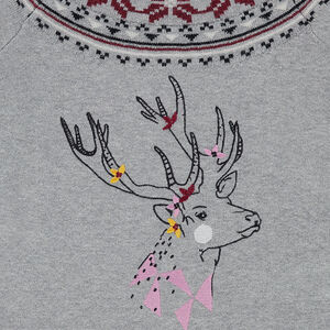 Junior - Pull en tricot motif jacquard avec cerf brodé 