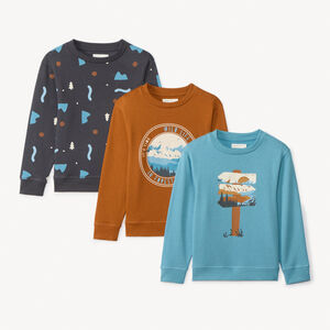 Lot de 3 sweats molleton fantaisies garçon 
