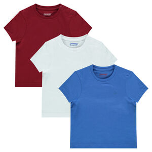 Lot de 3 tee-shirts manches courtes  