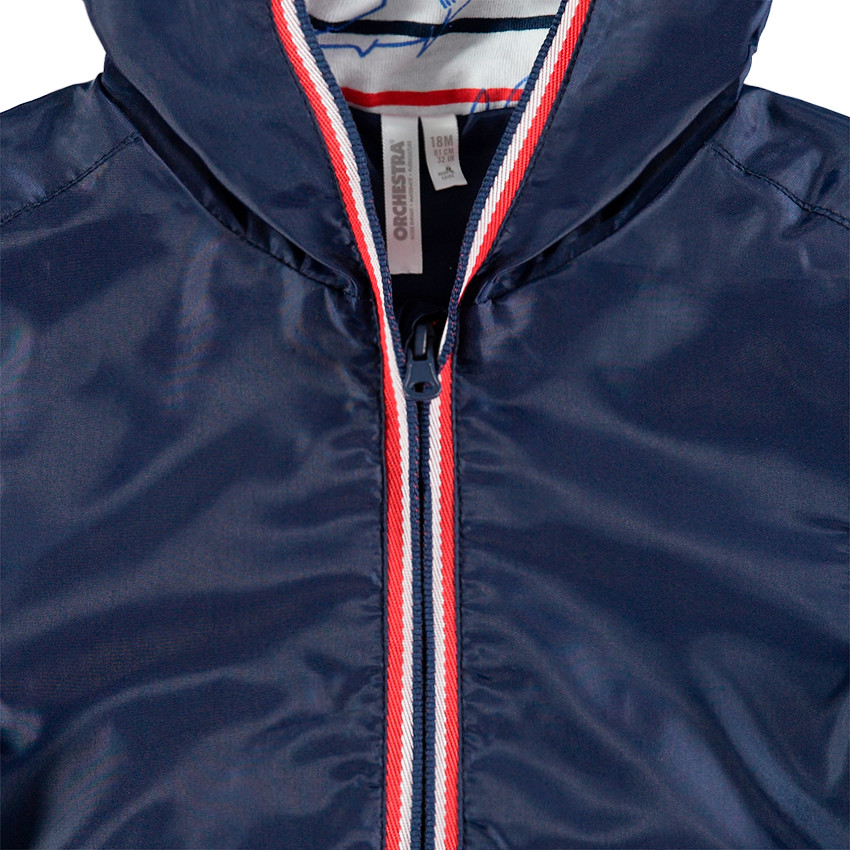 Coupe-vent à capuche avec doublure à rayures et requins 