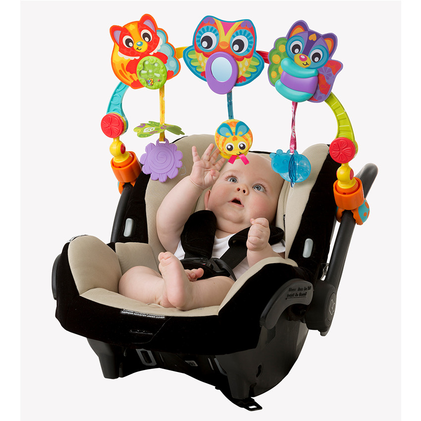 Arche multi-activités 