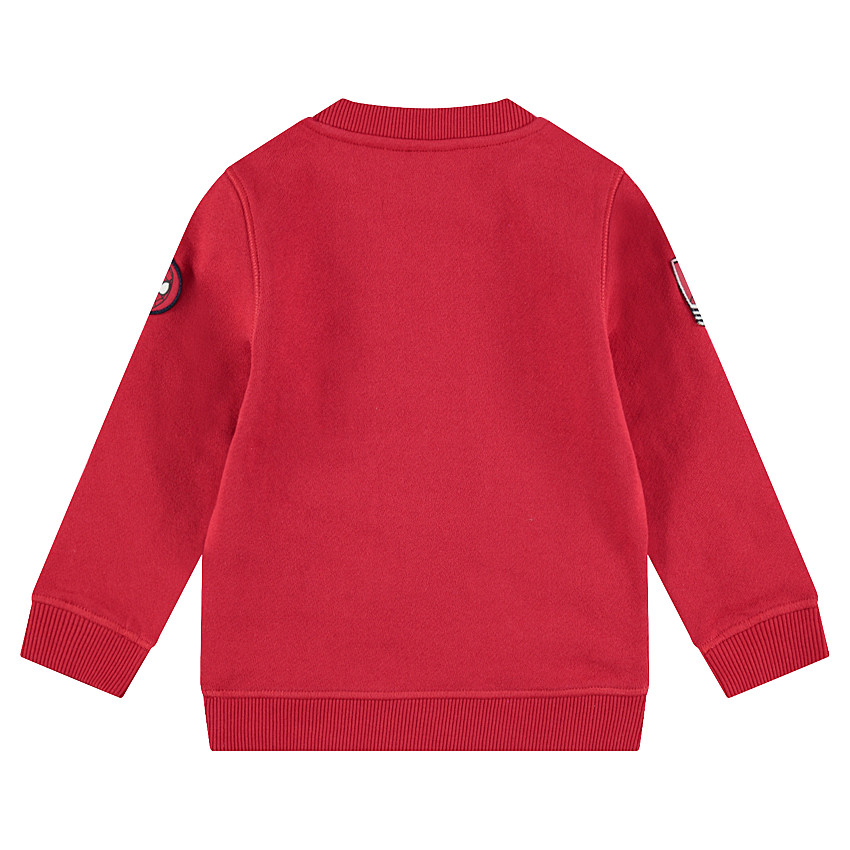 Sweat en molleton avec araignée en relief et badges patchés 