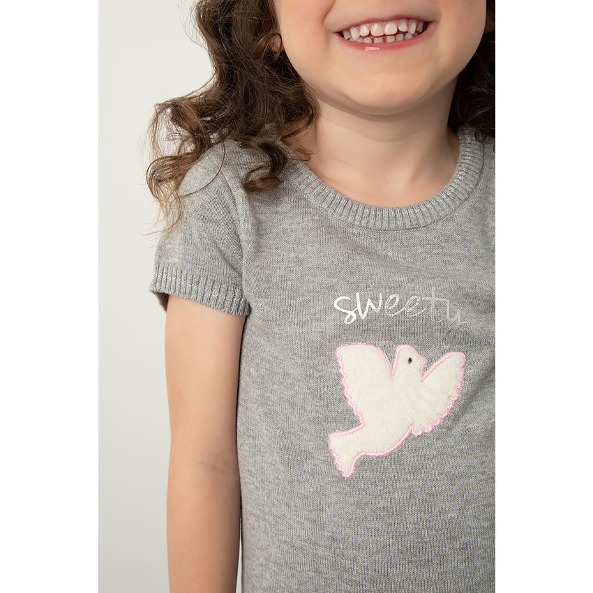 Robe manche courtes en tricot avec oiseau patché sur le devant 