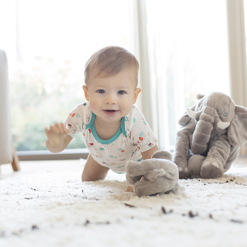 Lot de 5 bodies manches courtes en jersey 