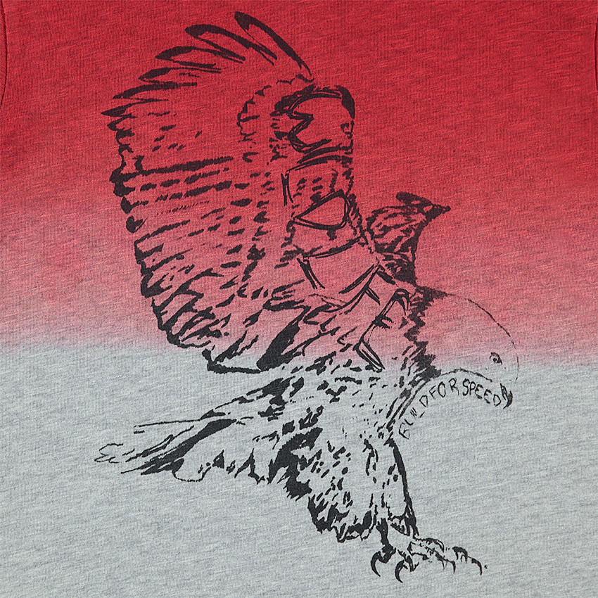 Junior - Tee-shirt manches longues en jersey effet tie and dye avec animal printé 