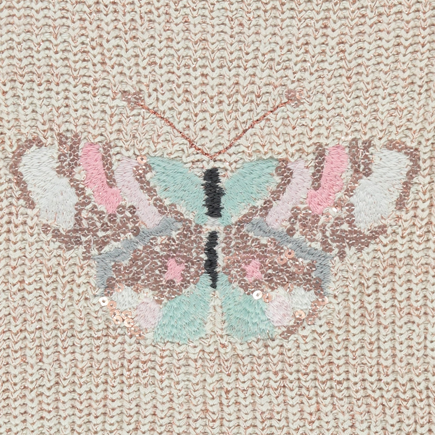 Pull en tricot effet brillant avec papillon brodé 