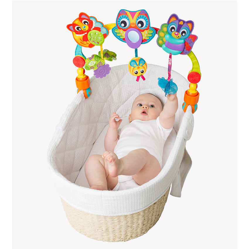 Arche multi-activités 