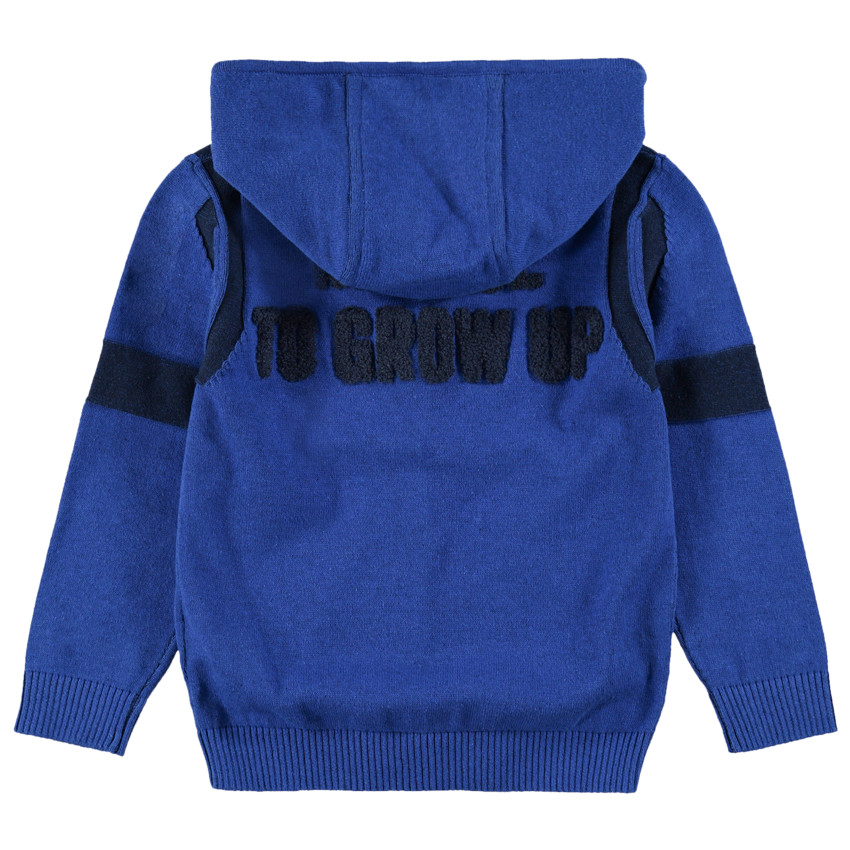 Gilet zippé à capuche avec inscription en bouclette au dos 