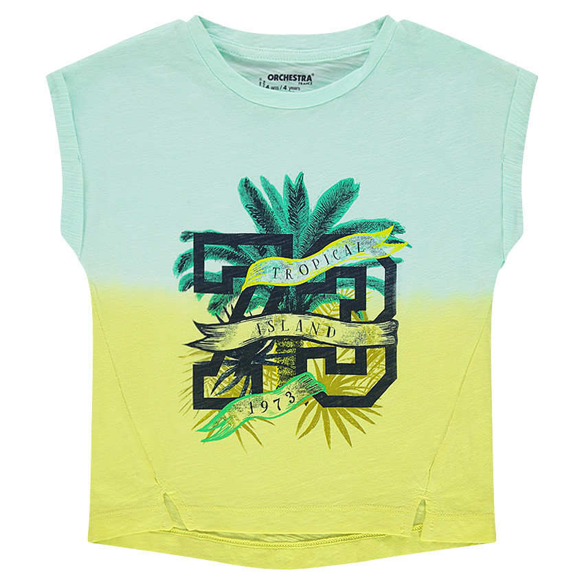 Tee-shirt manches courtes en jersey tie and dye avec print fantaisie 