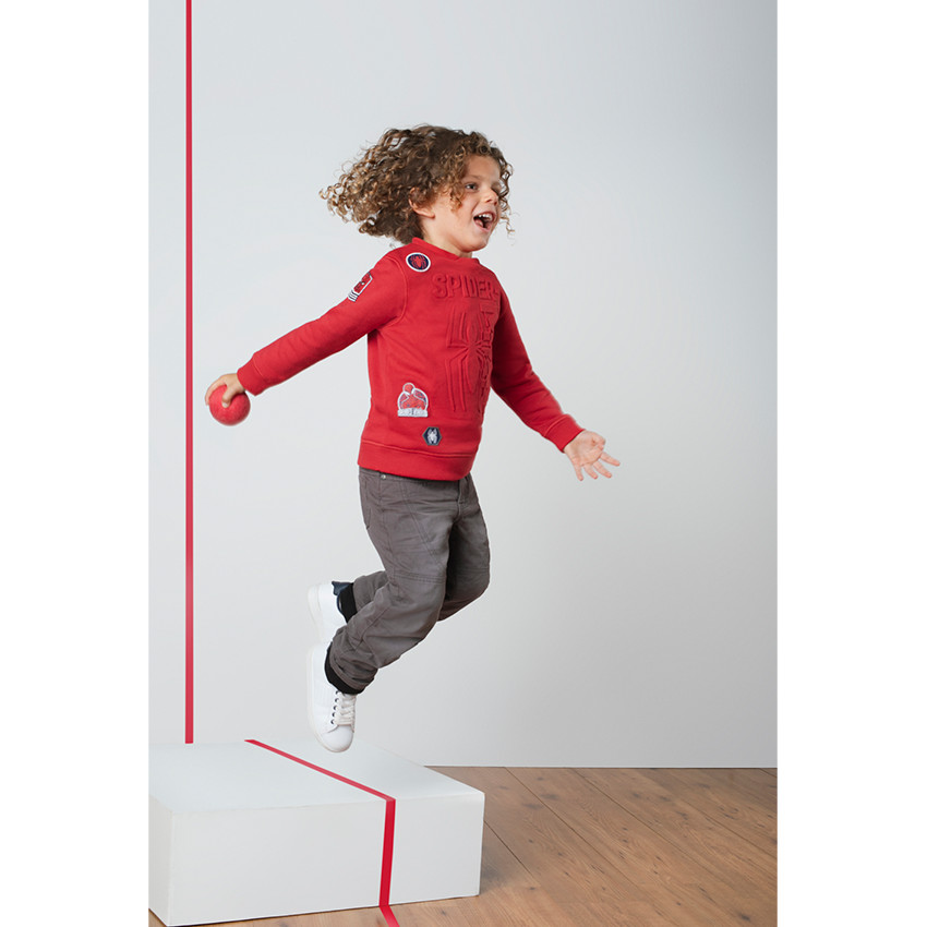 Sweat en molleton avec araignée en relief et badges patchés 