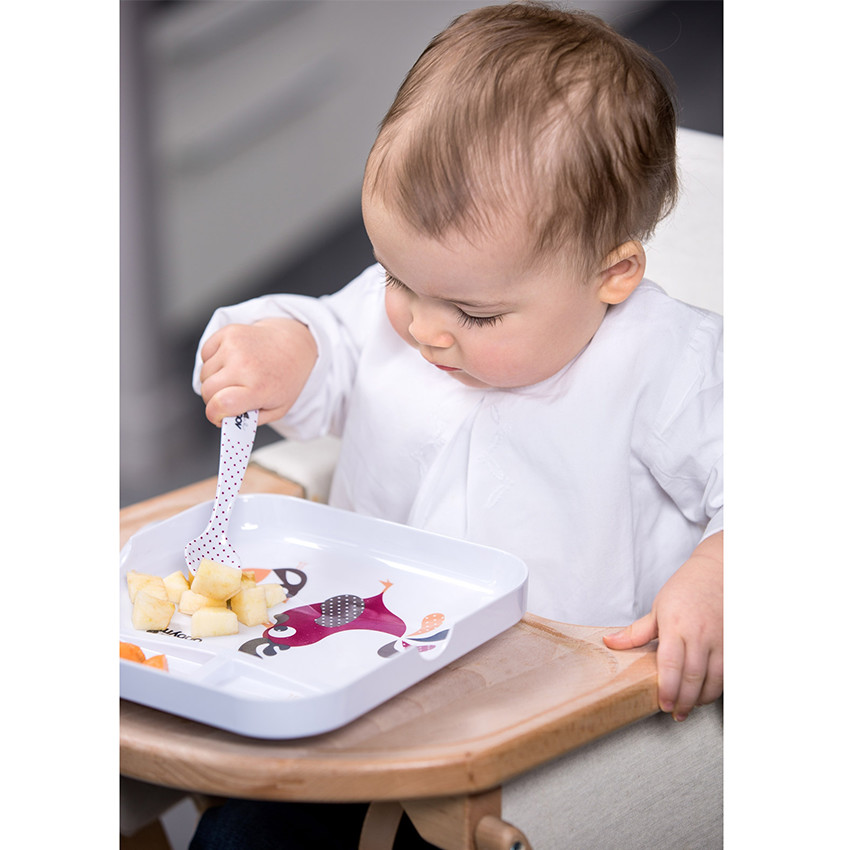 Coffret repas 5 pièces - Lovely Bird 