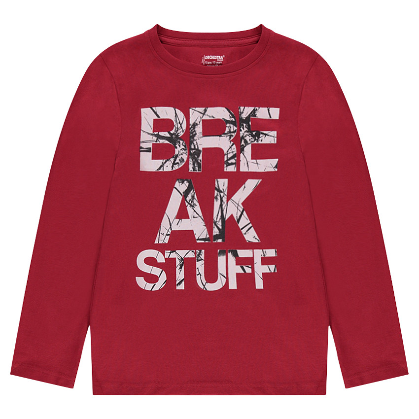 Tee-shirt manches longues en jersey uni avec print fantaisie 