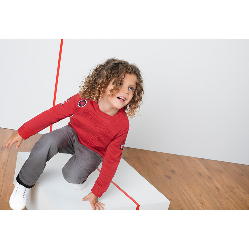 Sweat en molleton avec araignée en relief et badges patchés 