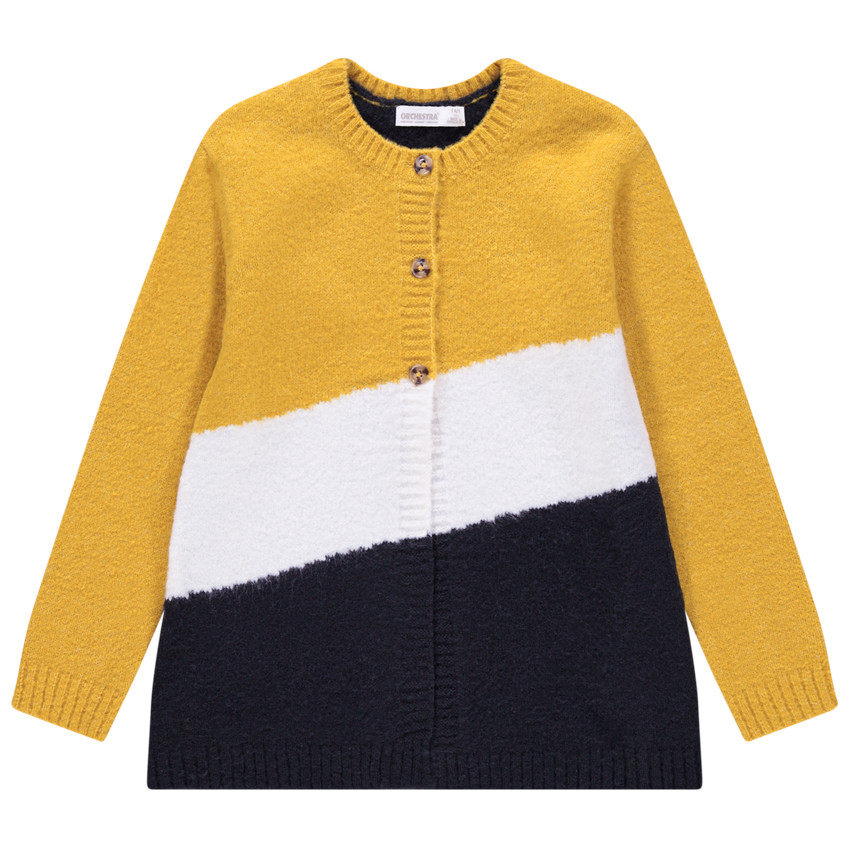 Gilet en tricot tricolore boutonné 