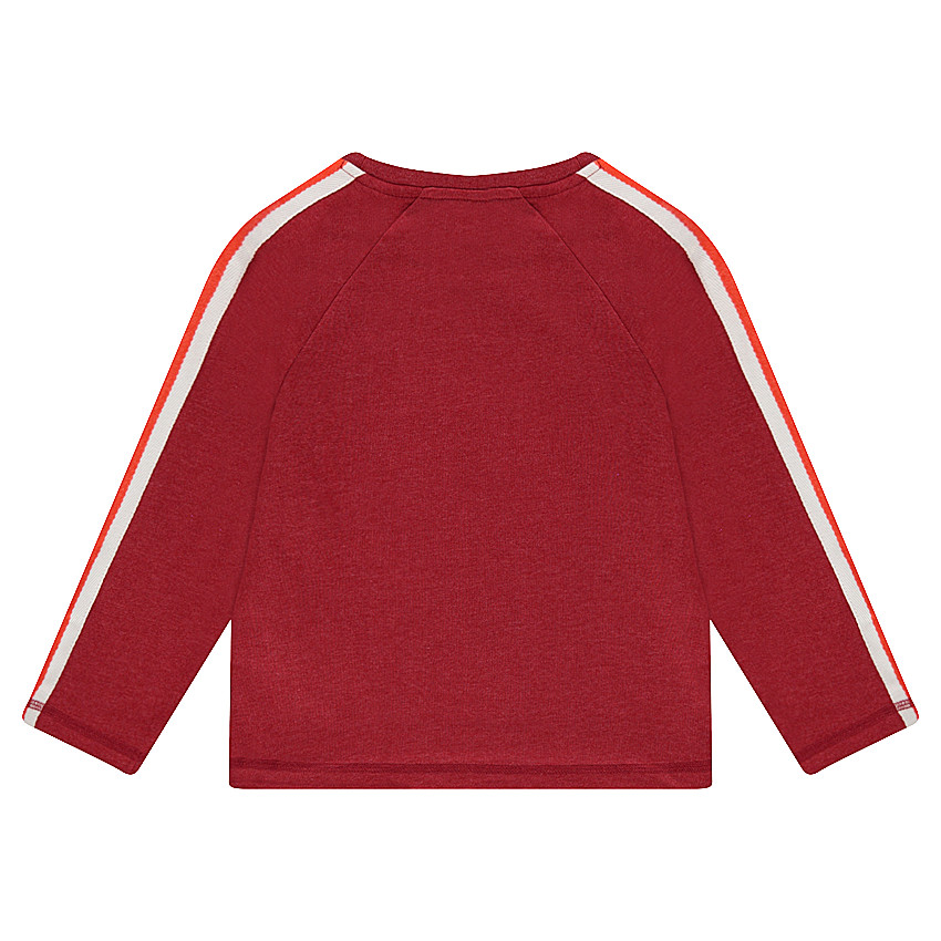 Tee-shirt manches longues en jersey avec bandes et tigre printé 